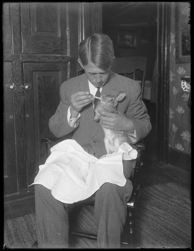 James H. Hassler che nutre un coniglio, c.1912 da William Davis Hassler