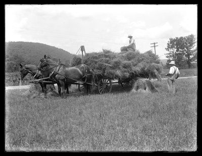 Due uomini che caricano covoni di grano su un carro trainato da cavalli, probabilmente la fattoria McCready, Contea di Crawford, Pennsylvania, c.1913 da William Davis Hassler