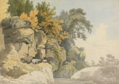 Rocce boscose vicino a un ruscello (Derbyshire?) da William Day