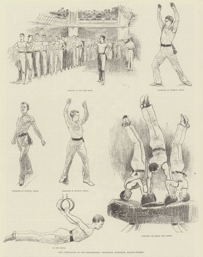 La palestra dell