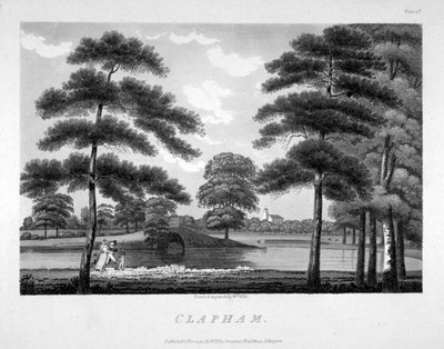 Veduta di Clapham, Londra da William Ellis