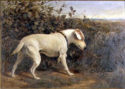 Terrier in un Paesaggio da William Elsob Marshall