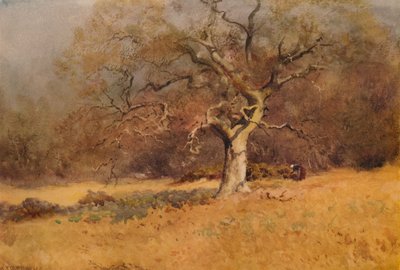 Boschi invernali, c1916, 1938 da William Eyre Walker