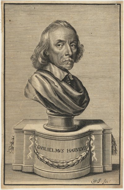 William Harvey, M.D. da William Faithorne