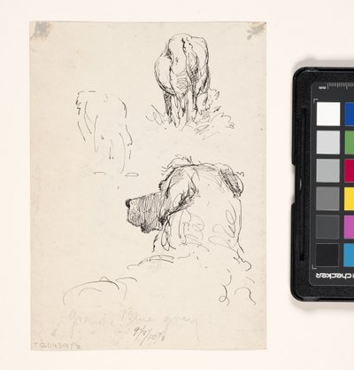 Cane (Recto), Cane e mucca (Verso) da William Forsyth