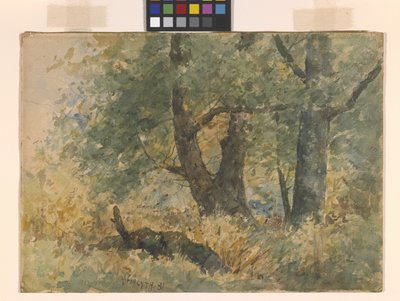 Paesaggio boschivo da William Forsyth