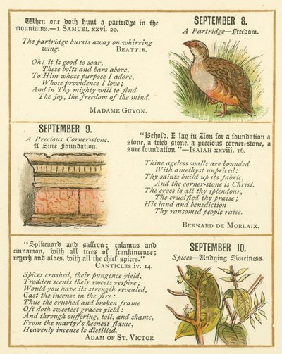 Pagina dal The Bible Emblem Anniversary Book da William Foster