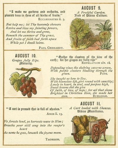 Pagina dal Libro Emblema della Bibbia (litografia a colori) da William Foster