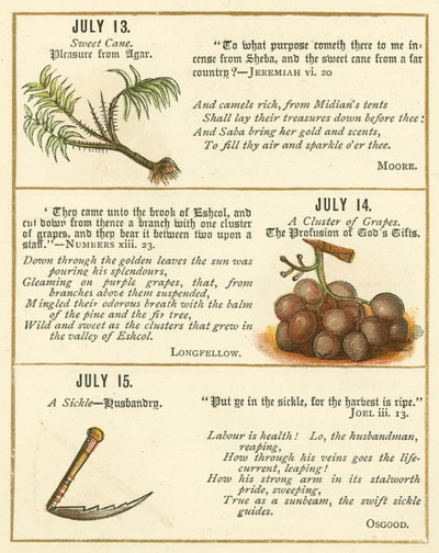 Pagina dal Libro Anniversario dell