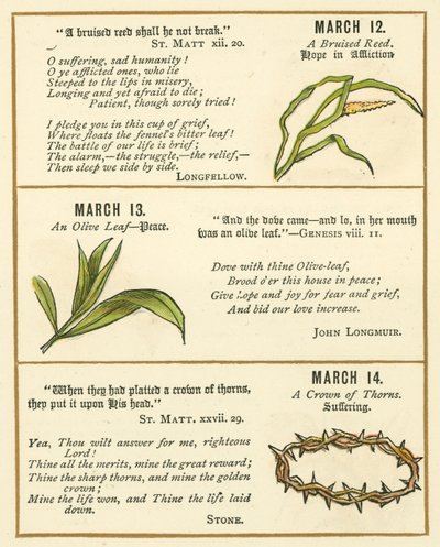 Pagina dal The Bible Emblem Anniversary Book da William Foster