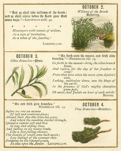 Pagina dal libro anniversario della Bibbia Emblema da William Foster