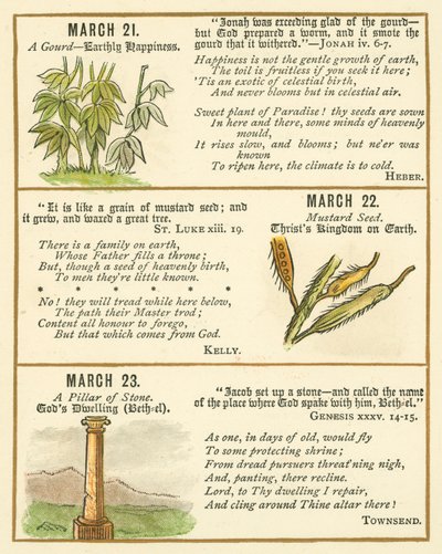 Pagina dal libro anniversario della Bibbia Emblema da William Foster
