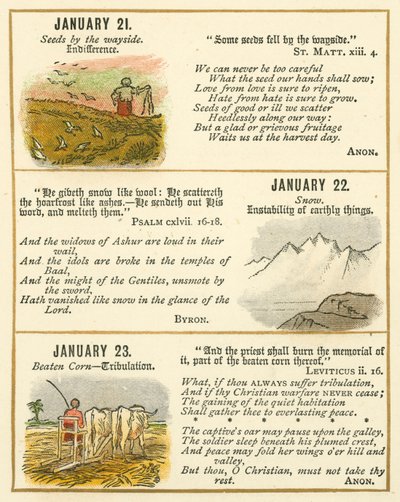 Pagina dal Libro Emblema della Bibbia Anniversario da William Foster