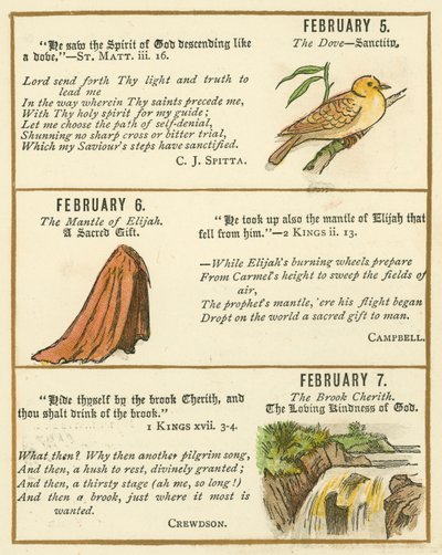 Pagina dal Libro Anniversario della Bibbia Emblema (litografia a colori) da William Foster