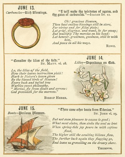 Pagina dal Libro Anniversario della Bibbia Emblema da William Foster