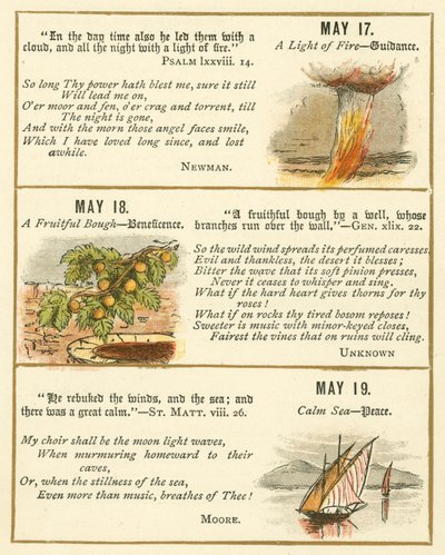 Pagina dal Libro Anniversario della Bibbia Emblema (litografia a colori) da William Foster