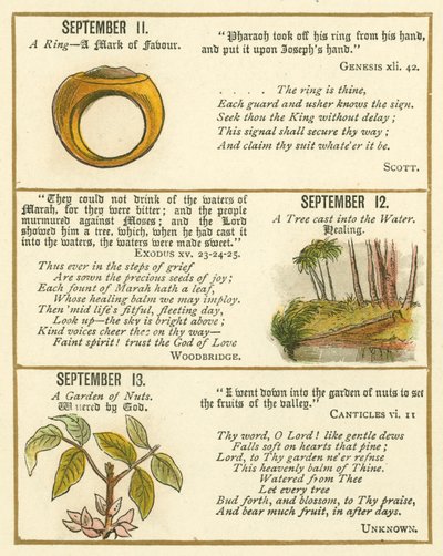 Pagina dal Libro Emblema della Bibbia da William Foster