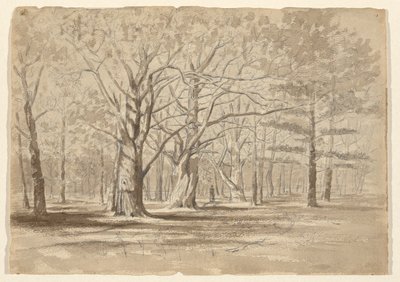 College Woods da William Fowler Hopson
