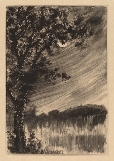 Paesaggio al chiaro di luna con albero a sinistra da William Fowler Hopson