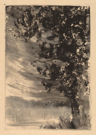 Paesaggio al chiaro di luna con albero a destra da William Fowler Hopson
