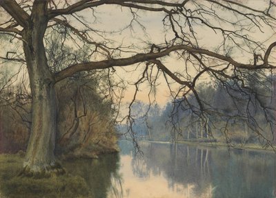 Un grande albero su una riva del fiume, 1892 da William Fraser Garden
