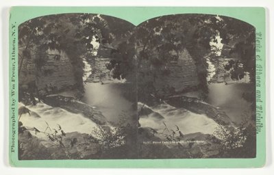 Cascate della foresta dall