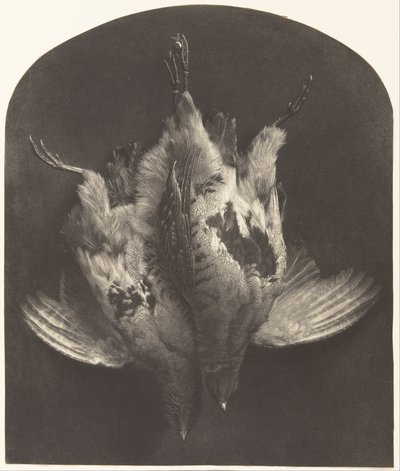 Una coppia di pernici da William Frederick Lake Price