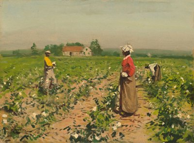 Raccolta del cotone da William Gilbert Gaul