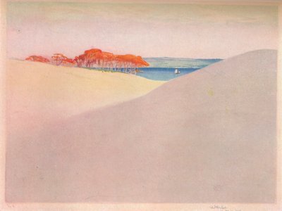Dune di sabbia, Danimarca, c1917 da William Giles