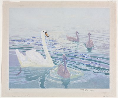 Cigni e cignetti da William Giles