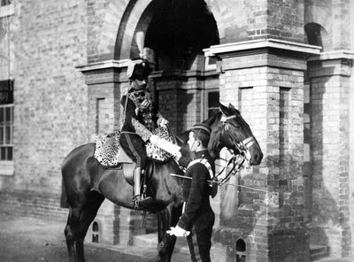 Ufficiale del 3° Ussari, c.1890 da William Gregory