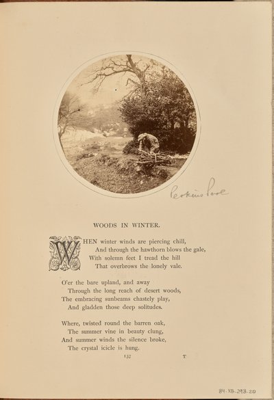 [Un uomo che raccoglie legna da ardere, Inghilterra] da William Grundy