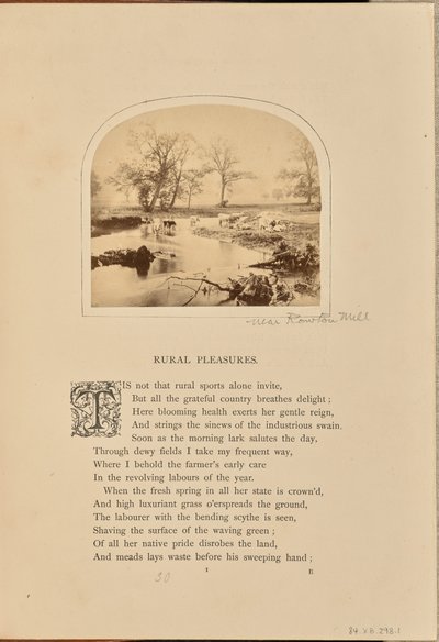 [Scena pastorale con bestiame in un campo allagato, Inghilterra]. da William Grundy