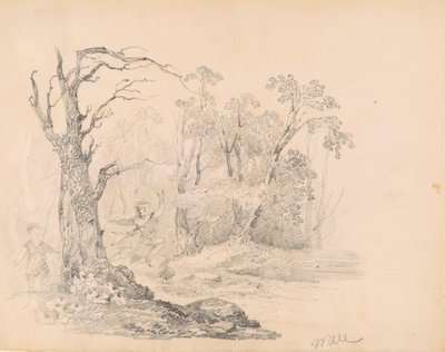 Scena da Scott da William Guy Wall
