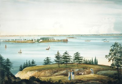 La baia di New York e Governors Island vista da Brooklyn Heights da William Guy Wall