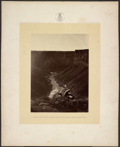 Grand Cañon del fiume Colorado, foce del Kanab Wash, sguardo verso ovest da William H. Bell