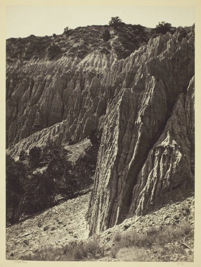 Scultura della pioggia, Salt Creek Canon, Utah da William H. Bell