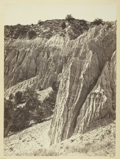 Scultura della pioggia, Salt Creek Canyon, Utah da William H. Bell