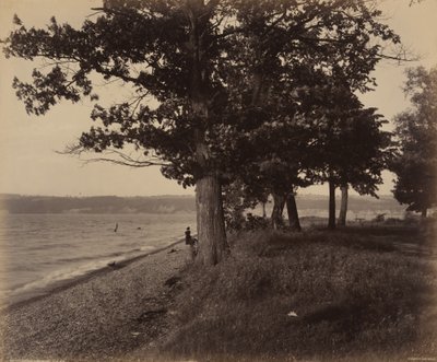 Lago Cayuga, Sheldrake da William H. Rau