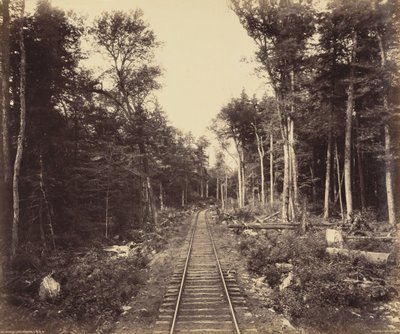 Ramo del Lago Ganoga da William H. Rau