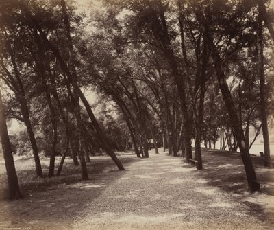 Area picnic da William H. Rau