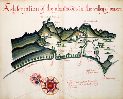 Descrizione delle piantagioni nella Valle di Paneca da William Hack