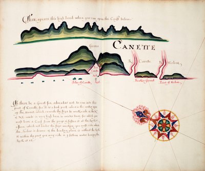 Canette da William Hack