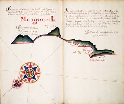 Mongoncilla da William Hack
