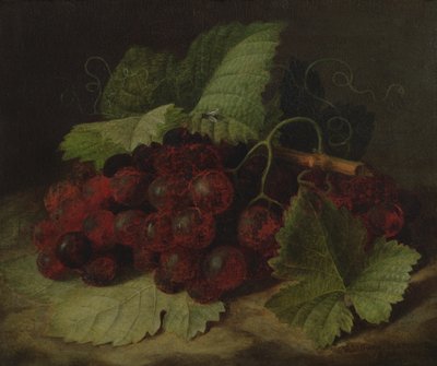 Natura morta con uva da William Hammer