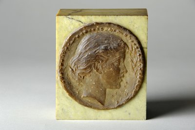 Ritratto medaglione di Agatha Thornycroft, c.1900 da William Hamo Thornycroft