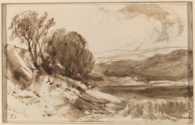 Paesaggio collinare con alberi da William Hart