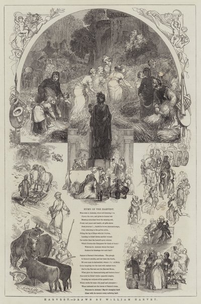 Raccolto da William Harvey