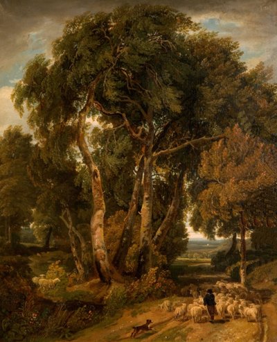 Portare a casa il gregge da William Havell