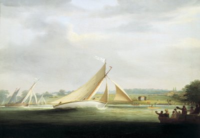 Yacht della gara della Cumberland Society, sul Tamigi (Inghilterra), circa 1815, antenato della Royal Yacht Race sul Tamigi da William Havell